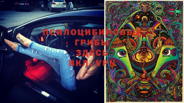 твердый Володарск