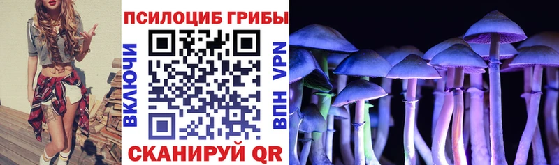 Галлюциногенные грибы Psilocybe  купить наркотик  Серпухов 